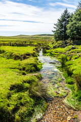 Creek at the foot of Rough Tor in Cornwall, England, UK