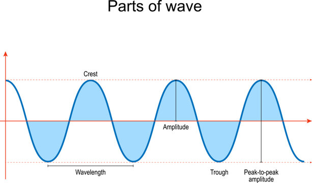 Parts of wave.