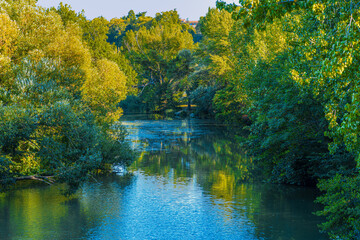 Scenic view of a river featuring lush vegetation. Arga River, Pamplona, Spain