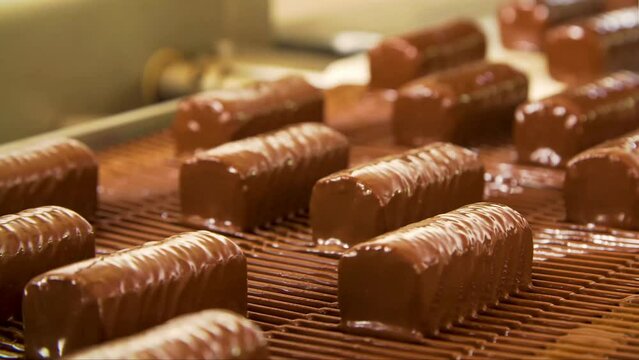 Step into the world of large-scale sweet manufacturing, where the mesmerizing process of crafting chocolates unfolds before your eyes.