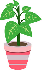 Potted House Plants Illustration