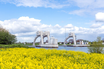 The Stuwcomplex Hagestein  (barrage) in the river De Lek with beautiful yellow rapeseed fields in the foreground