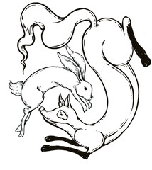 fox and rabbit with a long tail, vintage line drawing or engraving illustration.