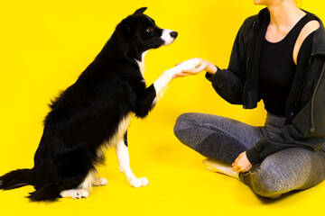 Caucasian woman training border collie dog. Concept of relationship between human and animal.