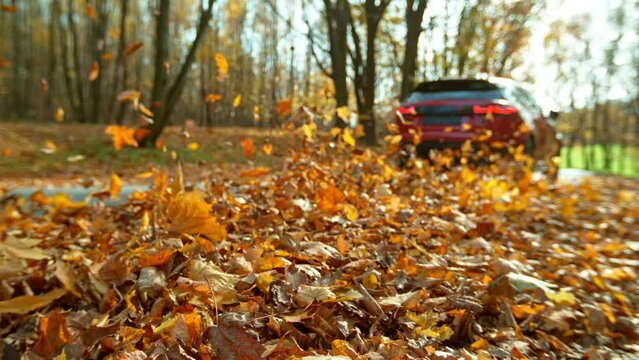 Super Slow Motion of Closeup of Car Running in Autumn Leaves. Filmed on High Speed Cinema Camera. Speed Ramp Effect.