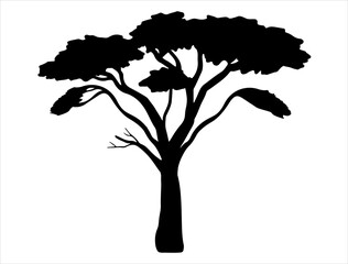 African tree silhouette vector art white background