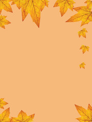 Beautiful Delicate Falls Leaves on a Warm Background