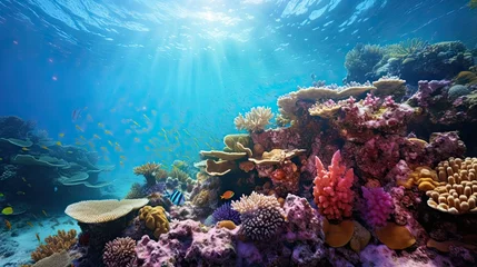 Tuinposter Vibrant coral reef teeming with marine life, showcasing biodiversity © Filip