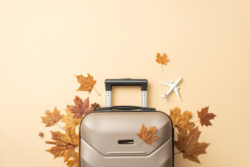 Autumn travel dreams. An aerial shot showcasing a gray suitcase surrounded by maple leaves and...