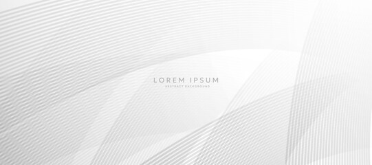 White curve abstract background vector illustration. curved banner background