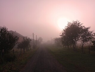 A foggy morning in a quiet provincial village. The fog settled over the village street - obrazy, fototapety, plakaty