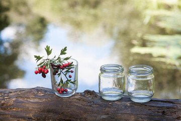 A glass transparent glass with a rowan branch, and two empty small jars, stand on a log, against the backdrop of a picturesque river. Image for your creative design or illustrations.