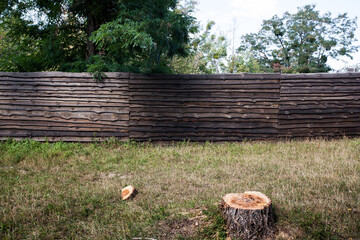 Rural courtyard with a wooden textured fence, and stumps on a green lawn. Country lifestyle image for your design or creative compositions.