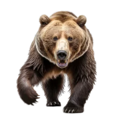 Keuken spatwand met foto angry grizzly brown bear walking towards camera, isolated on transparent png background, generative ai © Layerform