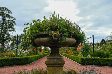 Flowers in a stone pot in a garden