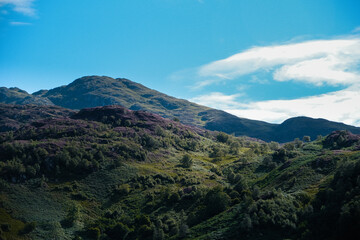 Scottish Landscape