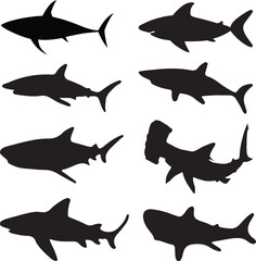 Shark Silhouette Vector Pack