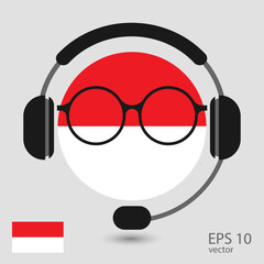 Vector flag of Indonesia with headphones and glasses, vector illustration. 
