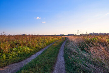 Dirt road through a field at sunset in autumn