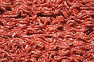 Detail of raw minced meat - beef meat with white fat inside