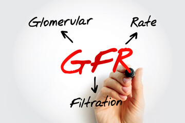 GFR - Glomerular Filtration Rate acronym, medical concept background