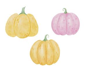 Halloween watercolor set with autumn pumpkins on white background. 