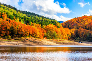 	恩原湖の紅葉風景