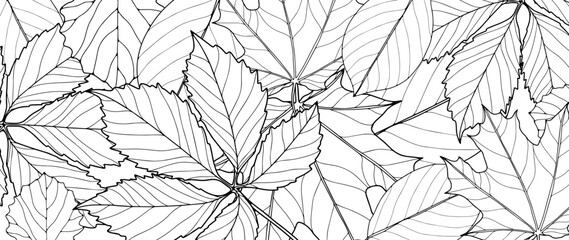 Black and white botanical background with different leaves. Background for coloring books, decor, wallpaper, covers, cards and invitations, diplomas.