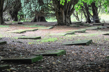 Moravian Church burial ground, with headstones laid flat on the ground.