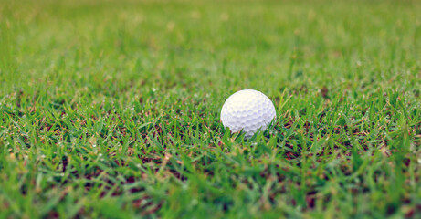 Close-up of Golf ball on the grass green
