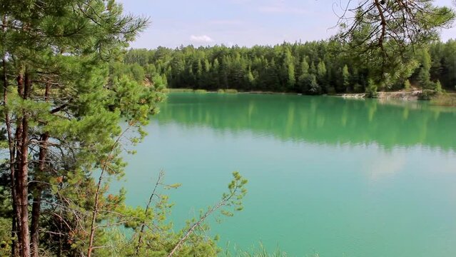 forest lake with green water