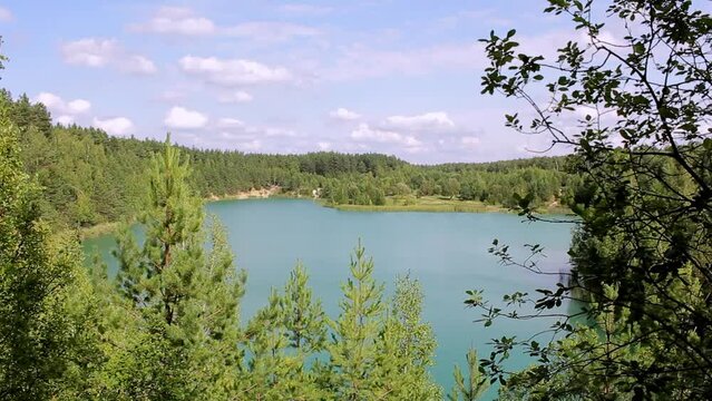 chalk lake among the pines