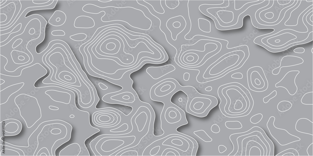 Fototapete Topographic map background concept with space for your copy.Gray and white wave abstract topographic map contour background.Abstract lines  paper texture Imitation of a geographical map shades.