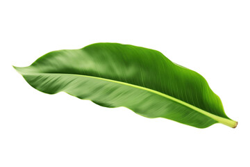 Banana Leaf, in transparent Background. Generative Ai