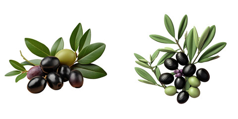 Olives in different colors with leaves on a transparent background with clipping paths