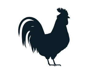 Beautiful rooster black silhouette isolated on white, vector illustration