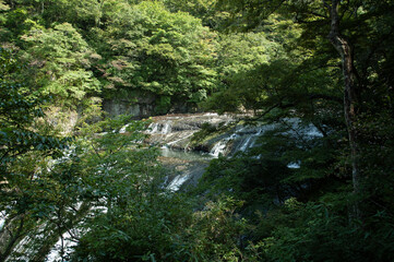 Fototapeta na wymiar 袋田の滝の流れ