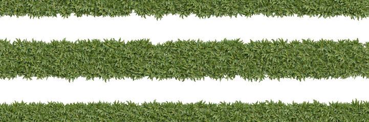 Green Plant Stripes - Transparent PNG