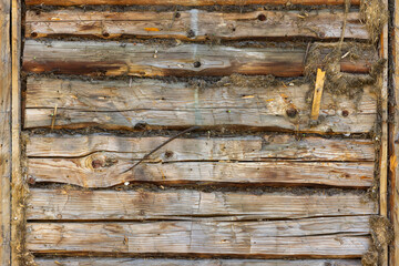 Old wooden wall with moss sealing, background photo texture