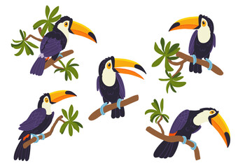 Set with toucans on branches. Birds character on vector style. Tropical animals.