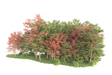 Realistic forest isolated on transparent background. 3d rendering - illustration © Elscar Studios
