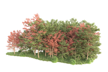 Realistic forest isolated on transparent background. 3d rendering - illustration