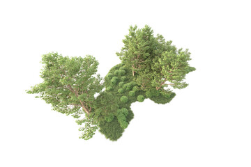 Fototapeta premium Realistic forest isolated on transparent background. 3d rendering - illustration