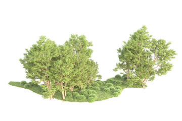 Obraz premium Realistic forest isolated on transparent background. 3d rendering - illustration