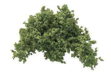 Obraz premium Realistic forest isolated on transparent background. 3d rendering - illustration