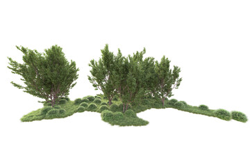 Obraz premium Realistic forest isolated on transparent background. 3d rendering - illustration