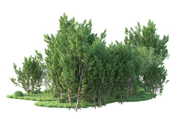 Realistic forest isolated on transparent background. 3d rendering - illustration