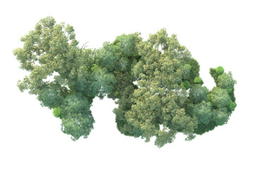 Realistic forest isolated on transparent background. 3d rendering - illustration