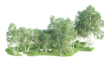 Realistic forest isolated on transparent background. 3d rendering - illustration