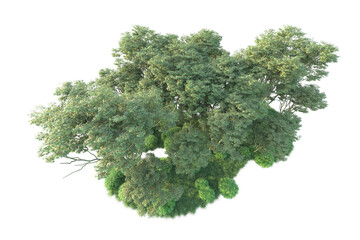 Obraz premium Realistic forest isolated on transparent background. 3d rendering - illustration